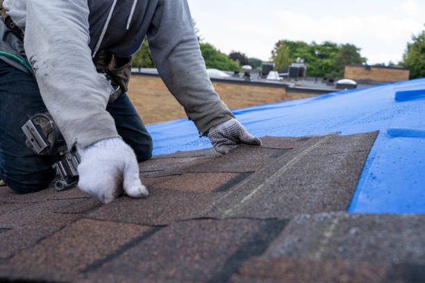 Best Storm Damage Roof Repair  in Sergeant Bluff, IA